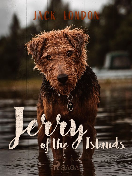Produktbild: Jerry of the Islands