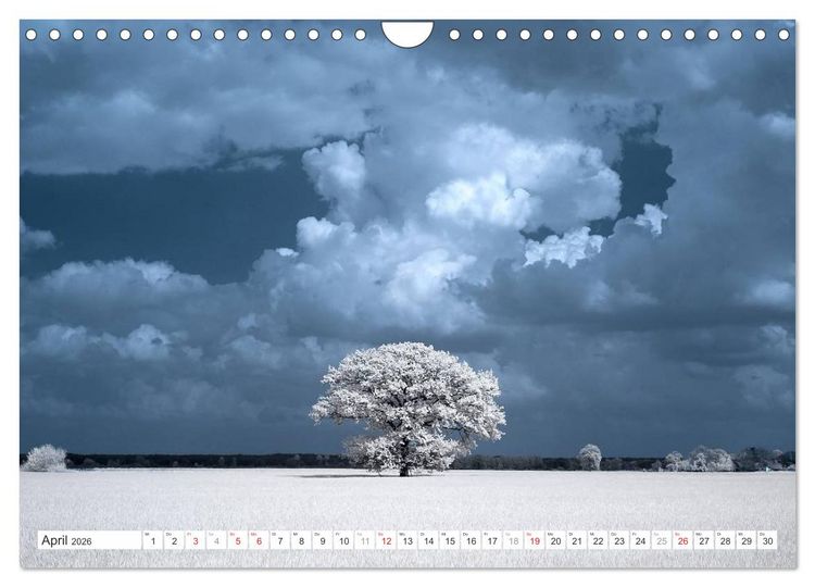 Produktbild: Zauberhafte Infrarot-Fotografie (Wandkalender 2026 DIN A4 quer), CALVENDO Monatskalender