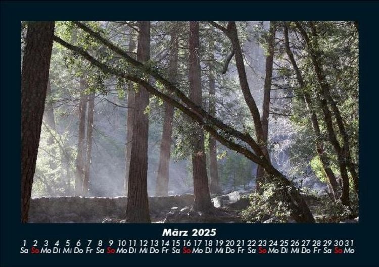 Produktbild: Bilder der Natur 2025 Fotokalender DIN A5
