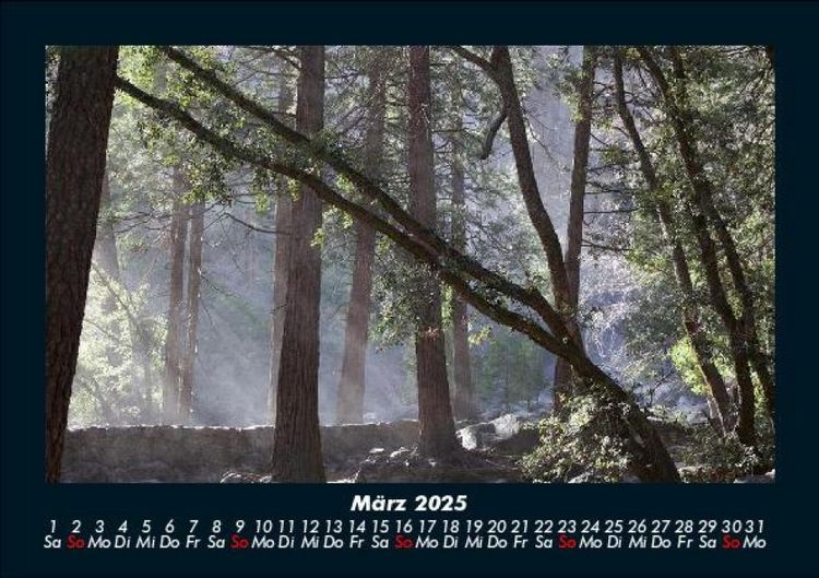 Produktbild: Bilder der Natur 2025 Fotokalender DIN A5