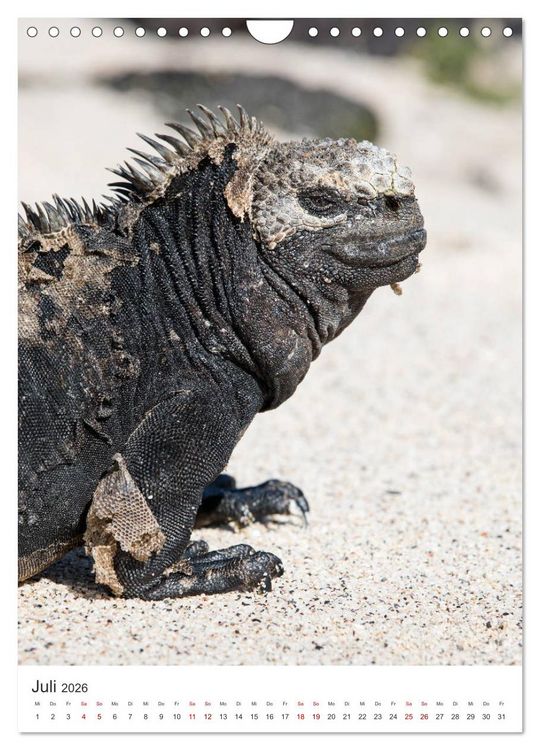 Produktbild: Galapagos - Atemberaubende Tierwelt (Wandkalender 2026 DIN A4 hoch), CALVENDO Monatskalender