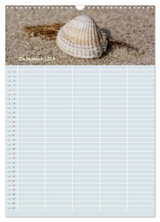Produktbild: Kleine Sand-Sch&ouml;nheiten / Familienplaner (Wandkalender 2026 DIN A3 hoch), CALVENDO Monatskalender