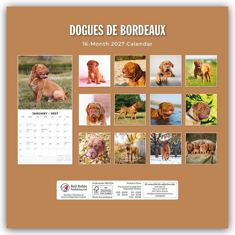 Produktbild: Dogues de Bordeaux &ndash; Bordeauxdoggen &ndash; Bordeaux Doggen 2027 &ndash; 16-Monatskalender