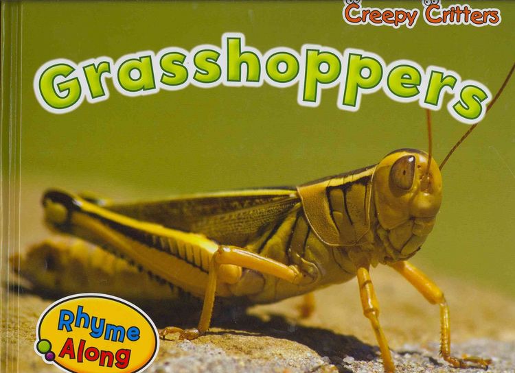 Produktbild: Creepy Critters Grasshoppers