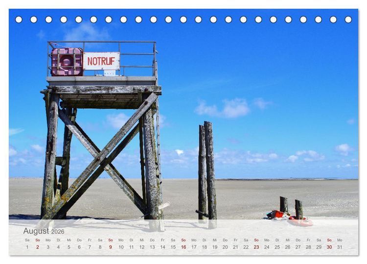 Produktbild: Salzwiesen, Schafe und Watt - Westerhever, ein Naturparadies an der Nordsee (Tischkalender 2026 DIN A5 quer), CALVENDO Monatskalender