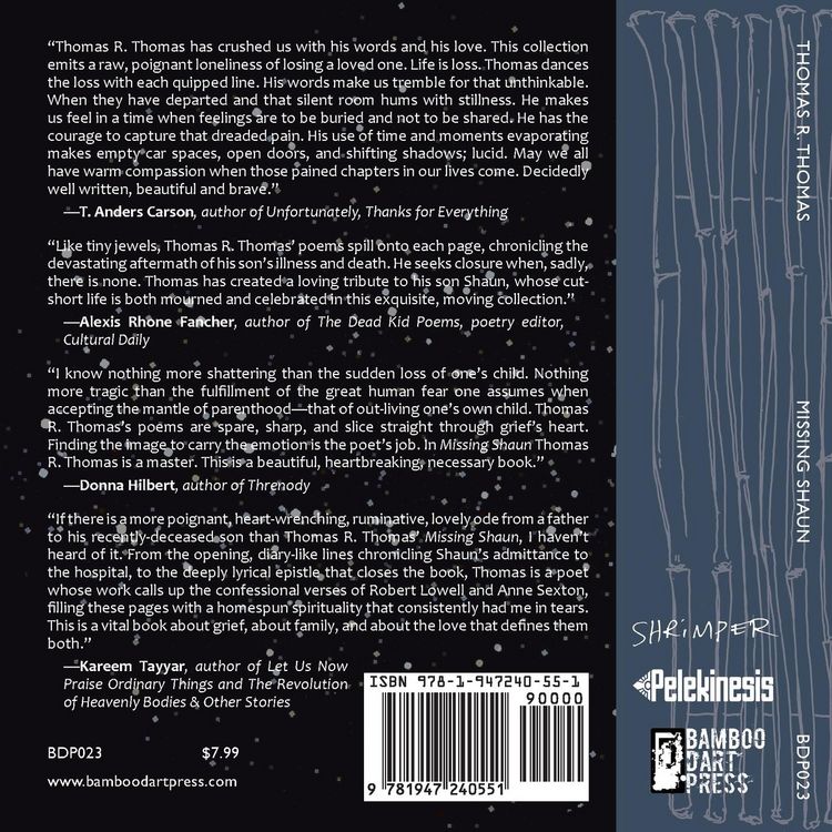 Produktbild: Missing Shaun