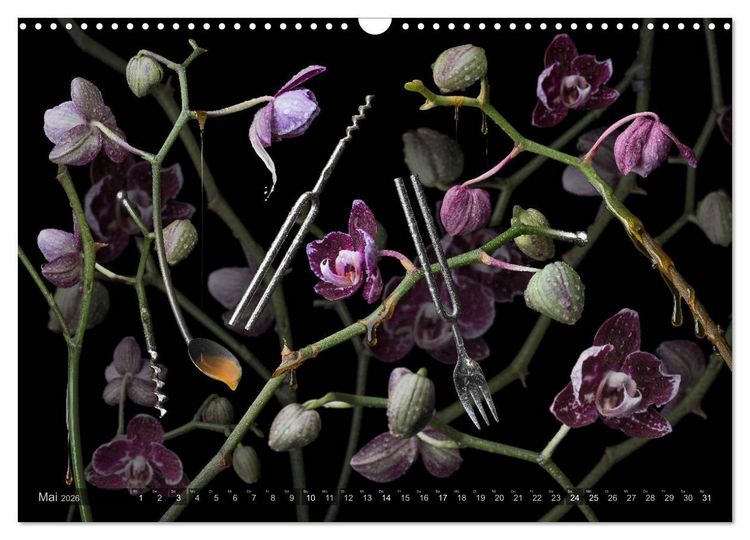 Produktbild: Musica fant&aacute;sia - Die wundersame Welt des Fotok&uuml;nstlers Olaf Bruhn (Wandkalender 2026 DIN A3 quer), CALVENDO Monatskalender
