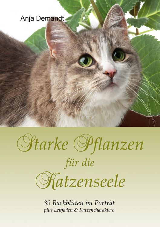 Produktbild: Starke Pflanzen f&uuml;r die Katzenseele