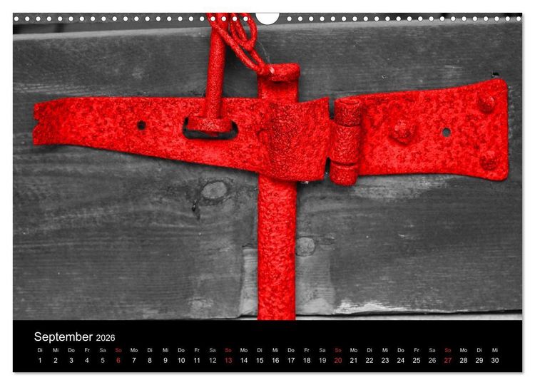 Produktbild: Blickfang in Rot (Wandkalender 2026 DIN A3 quer), CALVENDO Monatskalender