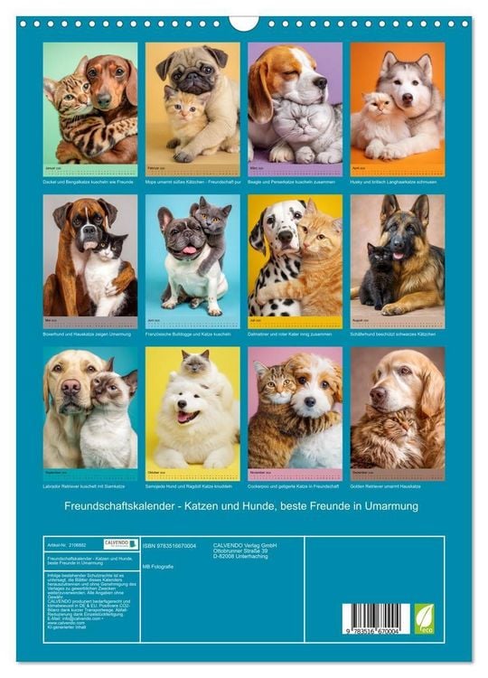 Produktbild: Freundschaftskalender - Katzen und Hunde, beste Freunde in Umarmung (Wandkalender 2026 DIN A3 hoch), CALVENDO Monatskalender