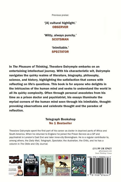 Produktbild: The Pleasure of Thinking