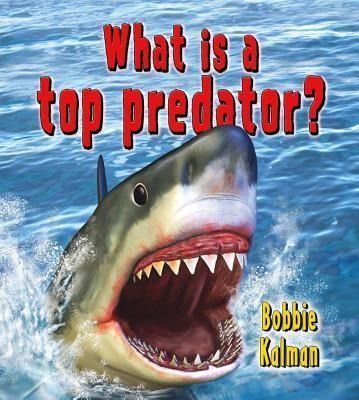 Produktbild: What Is a Top Predator?