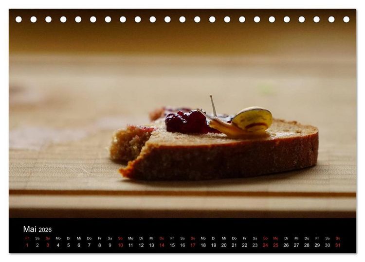 Produktbild: Kleine B&auml;nderschnecke ganz gro&szlig; - Gem&uuml;tlich durch das neue Jahr (Tischkalender 2026 DIN A5 quer), CALVENDO Monatskalender