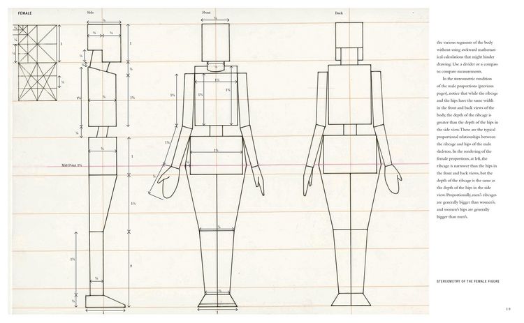Produktbild: Basic Human Anatomy