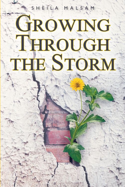 Produktbild: Growing through the Storm
