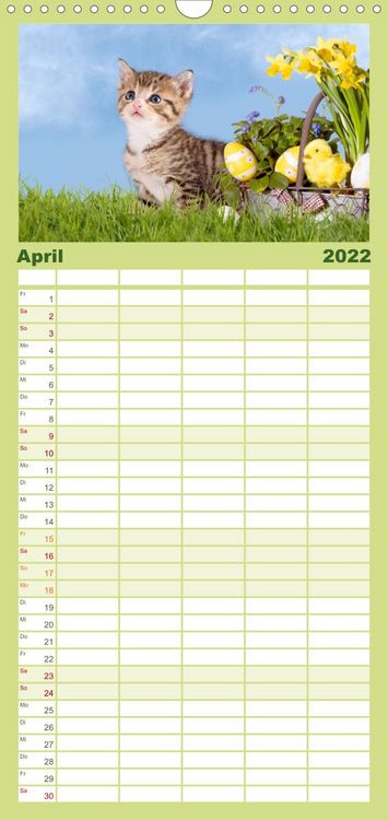 Produktbild: Familienplaner K&auml;tzchen 2022 (Wandkalender 2022 , 21 cm x 45 cm, hoch)