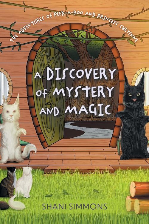 Produktbild: A Discovery of Mystery and Magic