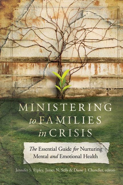 Produktbild: Ministering to Families in Crisis