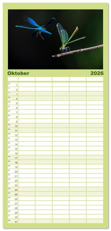 Produktbild: Familienplaner 2026 - Naturwunder Libellen mit 5 Spalten (Wandkalender, 21 x 45 cm) CALVENDO