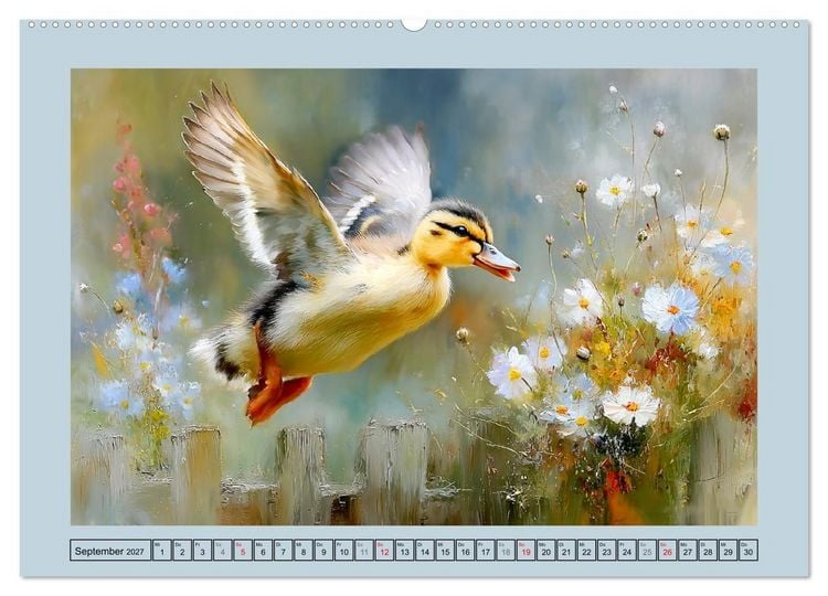 Produktbild: Zwergenten. Bezaubernde Schreih&auml;lse in der Natur (Wandkalender 2027 DIN A2 quer), CALVENDO Monatskalender