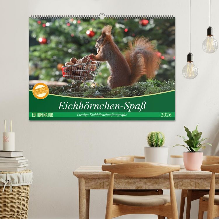 Produktbild: Eichh&ouml;rnchen-Spa&szlig; (Wandkalender 2026 DIN A2 quer), CALVENDO Monatskalender