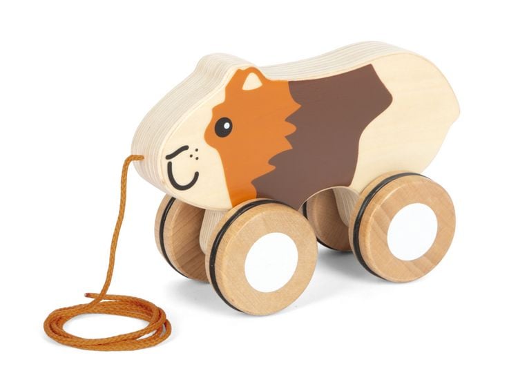 Produktbild: Nachziehtier Meerschweinchen