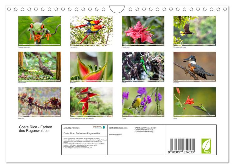 Produktbild: Costa Rica - Farben des Regenwaldes (Wandkalender 2026 DIN A4 quer), CALVENDO Monatskalender