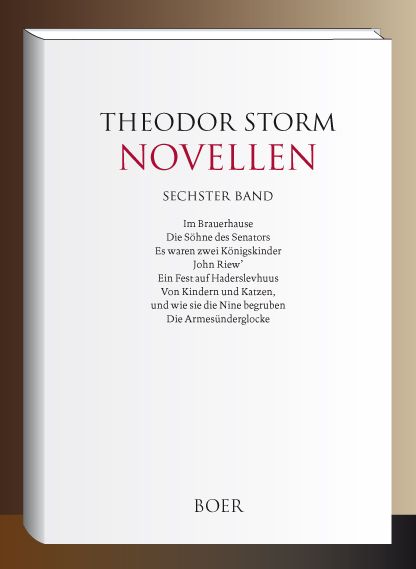 Produktbild: Novellen Band 6
