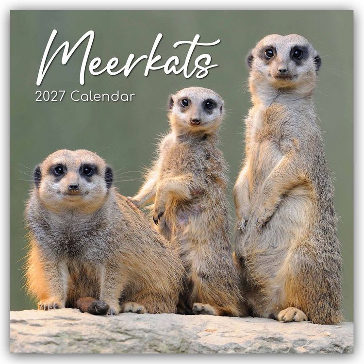 Produktbild: Meerkats &ndash; Erdm&auml;nnchen 2027 &ndash; 16-Monatskalender