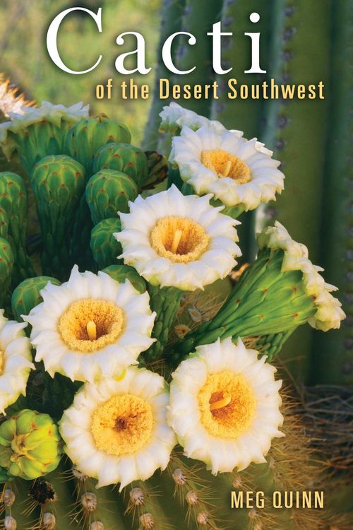 Produktbild: Cacti of the Desert Southwest