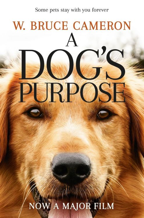 Produktbild: A Dog's Purpose