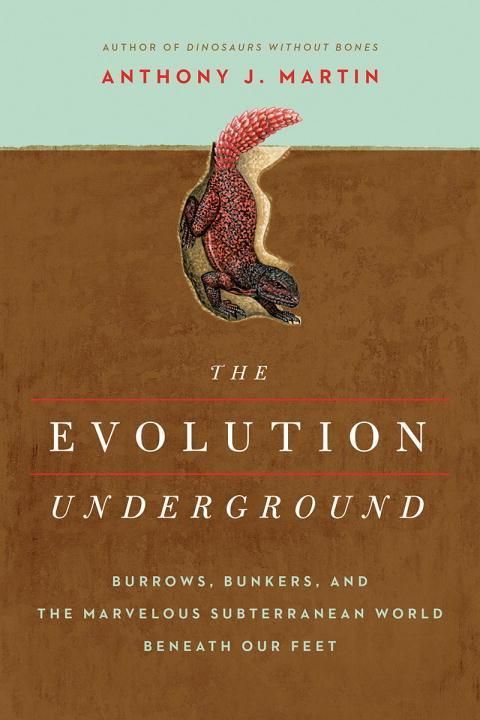 Produktbild: The Evolution Underground