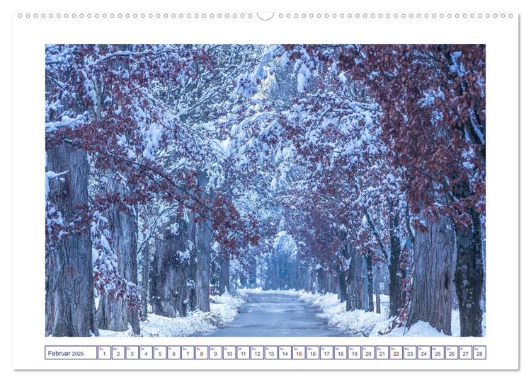 Produktbild: Radolfzell am sch&ouml;nen Bodensee (hochwertiger Premium Wandkalender 2026 DIN A2 quer), Kunstdruck in Hochglanz