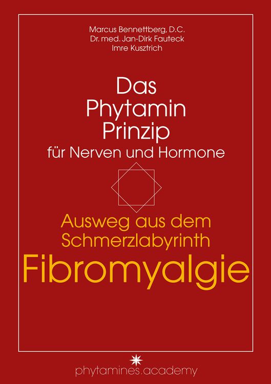 Produktbild: Ausweg aus dem Schmerzlabyrinth Fibromyalgie