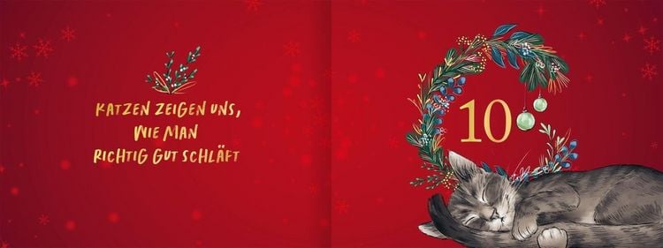Produktbild: Pfoten vom Tannenbaum
