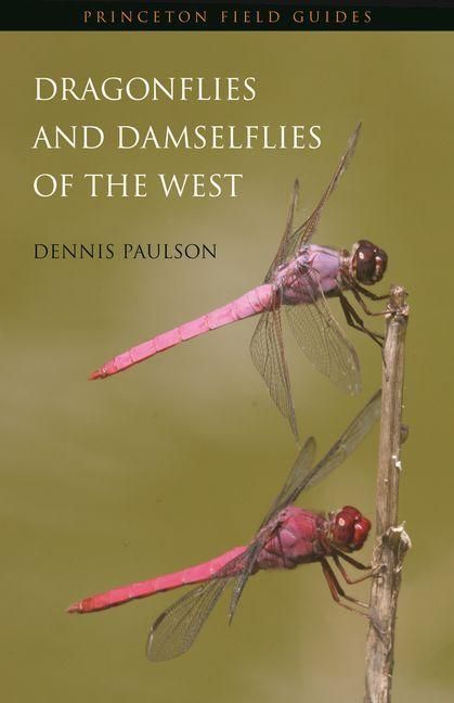 Produktbild: Dragonflies and Damselflies of the West