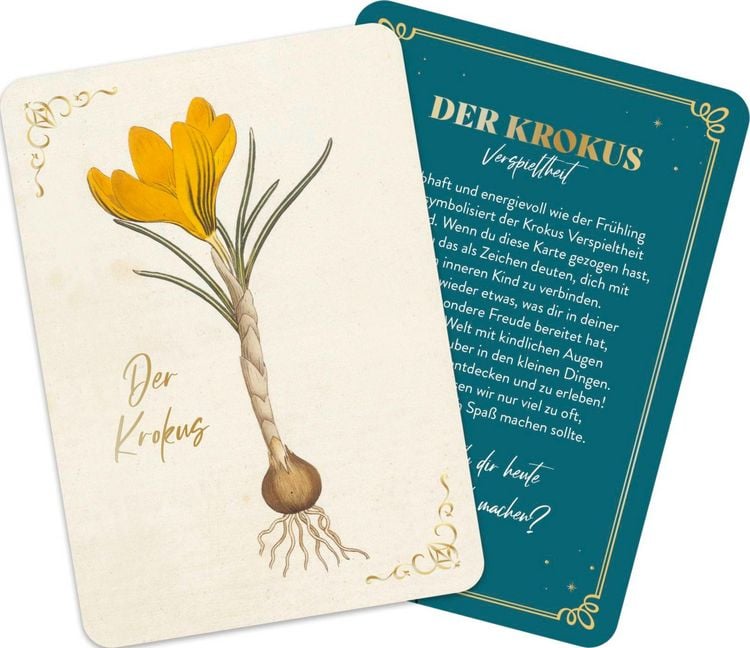 Produktbild: Die geheimnisvolle Sprache der Blumen &ndash; 50 Orakelkarten f&uuml;r das ganze Jahr