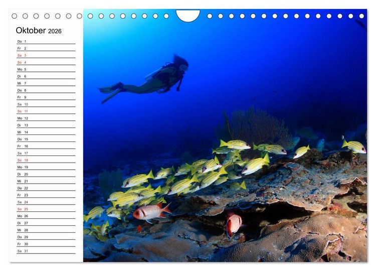 Produktbild: Paradiese. Karibik und S&uuml;dsee &uuml;ber und unter Wasser (Wandkalender 2026 DIN A4 quer), CALVENDO Monatskalender