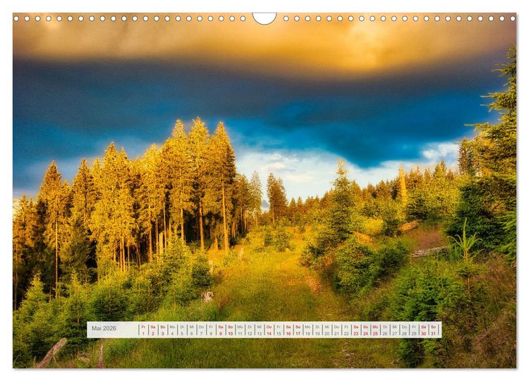 Produktbild: Die Sch&ouml;nheit des Th&uuml;ringer Waldes (Wandkalender 2026 DIN A3 quer), CALVENDO Monatskalender