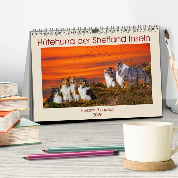 Produktbild: H&uuml;tehund der Shetland Inseln - Shetland Sheepdog (Tischkalender 2026 DIN A5 quer), CALVENDO Monatskalender