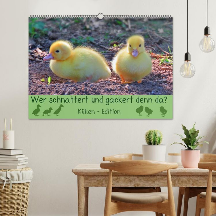 Produktbild: Wer schnattert und gackert denn da? - K&uuml;ken-Edition (Wandkalender 2026 DIN A2 quer), CALVENDO Monatskalender