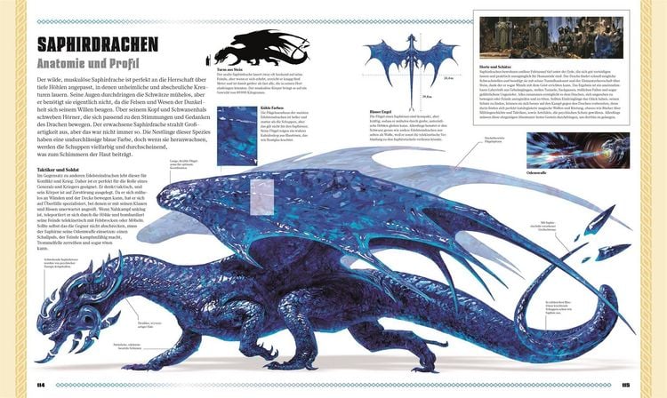Produktbild: Dungeons & Dragons Das Buch der Drachen