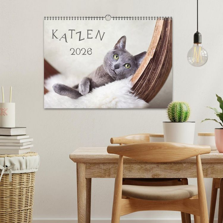 Produktbild: Katzen 2026 (Wandkalender 2026 DIN A3 quer), CALVENDO Monatskalender