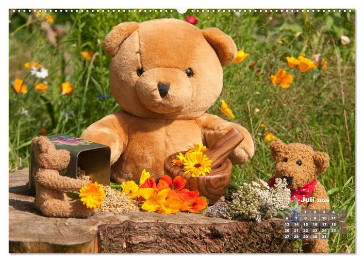Produktbild: Geliebte B&auml;ren - Teddys (hochwertiger Premium Wandkalender 2026 DIN A2 quer), Kunstdruck in Hochglanz