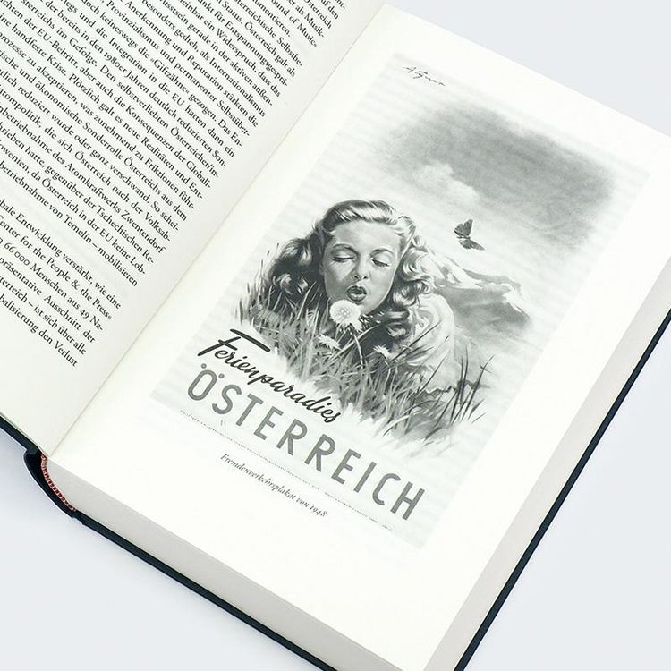 Produktbild: Die paradoxe Republik