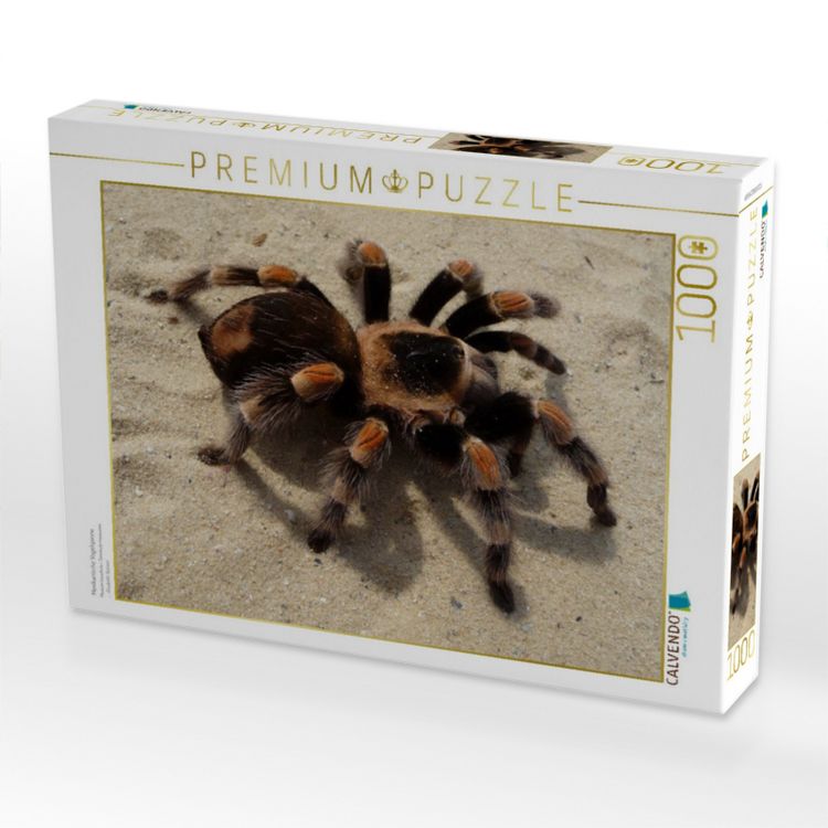 Produktbild: CALVENDO Puzzle Mexikanische Vogelspinne | 1000 Teile Lege-Gr&ouml;&szlig;e 64x48cm Foto-Puzzle f&uuml;r gl&uuml;ckliche Stunden