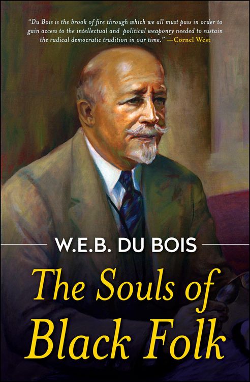 Produktbild: The Souls of Black Folk