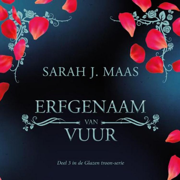 Produktbild: Erfgenaam van vuur