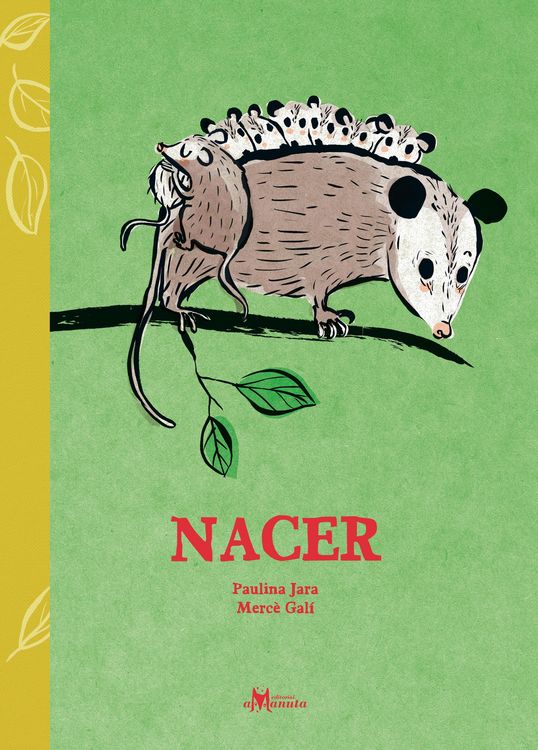Produktbild: Nacer