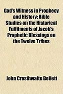 Produktbild: God's Witness in Prophecy and History; Bible Studies on the Historical Fulfilments of Jacob's Prophetic Blessings on the Twelve Tribes